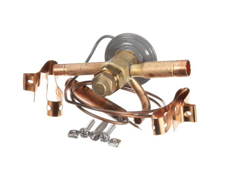 TRUE PARTS True 813301 Valve Expansion Ebfse-Aac Inlet Straine - SKU TRUE813301