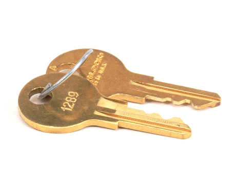 TRUE PARTS True 831307 Key 1289 (Set Of 2) Gdm Tmc - SKU TRUE831307