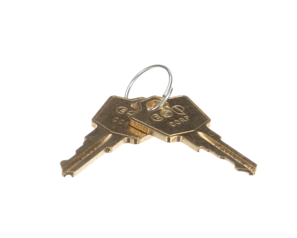 TRUE 872857 KEY  HL302 (SET OF 2) TDD-1 NEW 3/2/2000