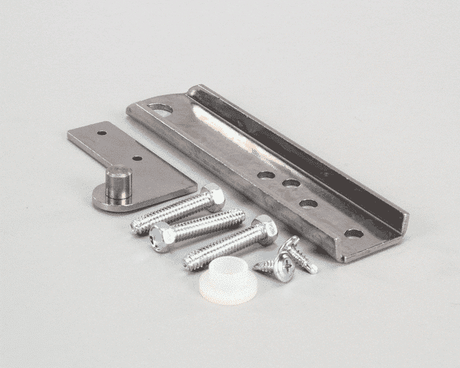 TRUE PARTS True 879256 Hinge Kit Door Center Bottom M Tssu/Twt/ - SKU TRUE879256