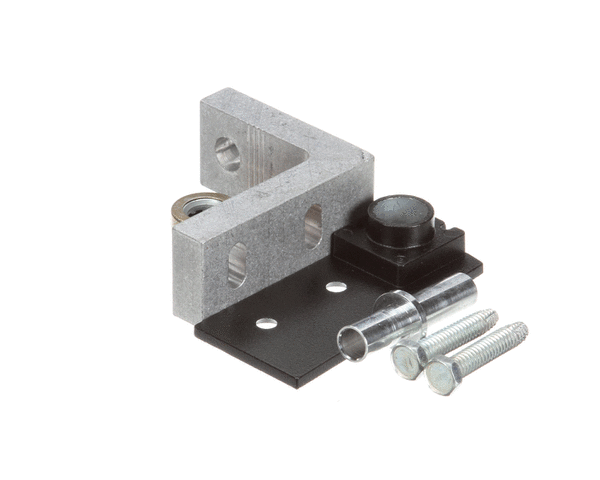 TRUE PARTS True 967869 Hinge Kit Bottom Rt Gdm Black - SKU TRUE967869