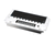 ULTRAFRYER PARTS 12C549 - SKU ULTR12C549