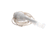 VOLLRATH PARTS Vollrath 23244-1 Autofill Float Switch - SKU VOL23244-1
