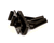 WILBUR CURTIS PARTS WC-66100 - SKU WCWC-66100