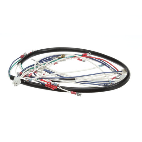 CHAMPION - MOYER DIEBEL PARTS Champion - Moyer Diebel 0507578 Harness Cntl Box/Det Tank Assembly - SKU CHA0507578