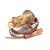 DELFIELD PARTS Delfield MCC955A Valve Exp 1/4 Ton - SKU DELMCC955A