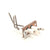 DOUGHPRO PROLUXE PARTS 110116908 - SKU DPR110116908