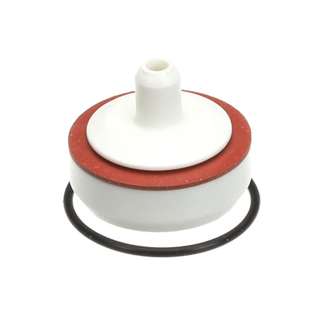 GAYLORD  GAY10185 1IN  WATER CHECK VALVE