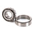 GLOBE PARTS Globe 747-5 Knife Plate Bearing Set (Cup & - SKU GLO747-5