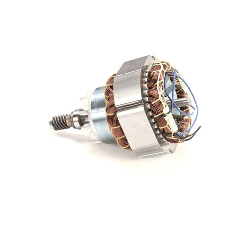GLOBE PARTS Globe X10060-67 Motor Assembly SP10 (1/3 Hp) - SKU GLOX10060-67