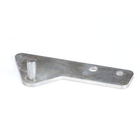 HOSHIZAKI PARTS Hoshizaki 452640G01 Hinge (R) - SKU HOS452640G01