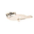 JACKSON PARTS 57000033261 - SKU JAC57000033261