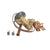 VICTORY PARTS 50780201 - SKU VT50780201